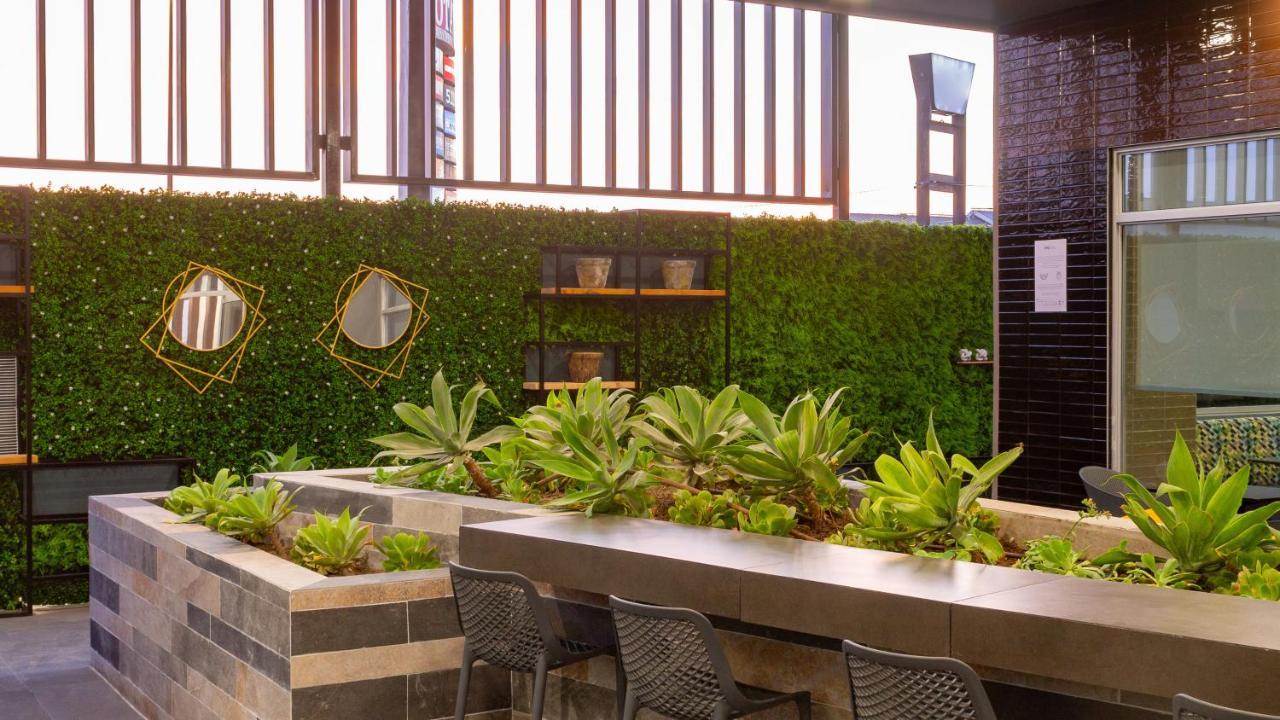 Holiday Inn Express & Suites - Tijuana Otay By Ihg Екстер'єр фото